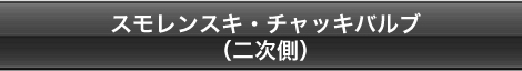 スモレンスキ・キャッチバルブ（二次側）