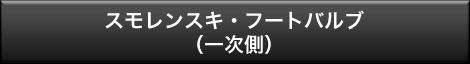 スモレンスキ・フートバルブ（一次側）